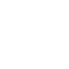 Expert Icon